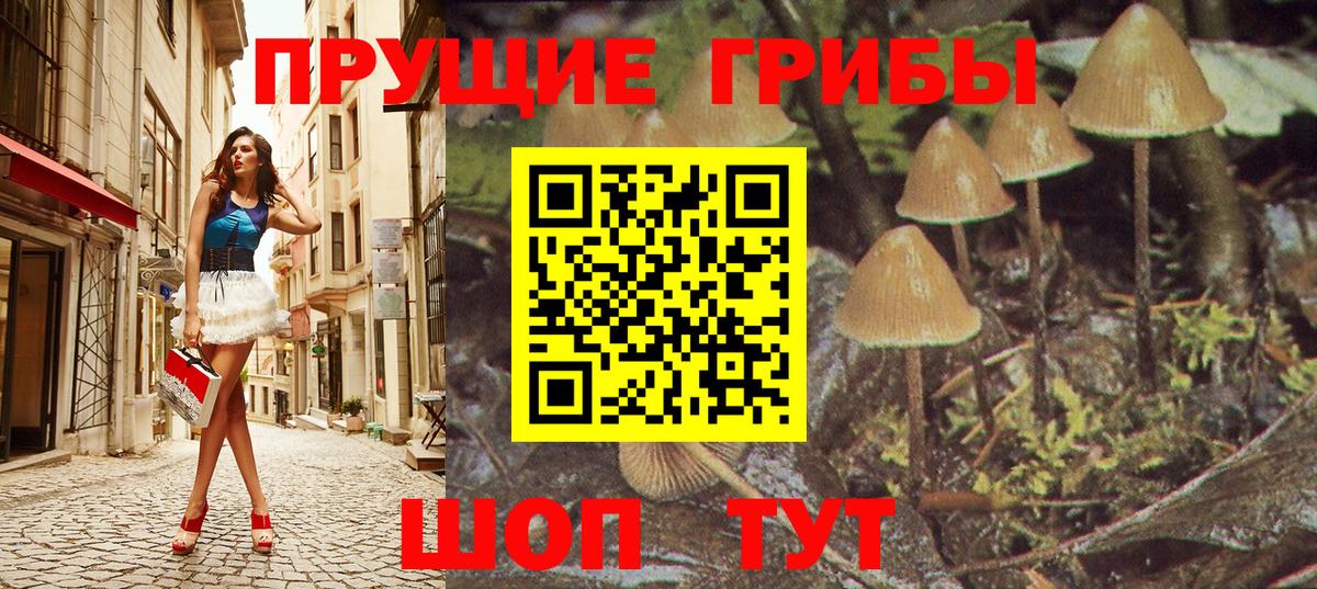 Галлюциногенные грибы MAGIC MUSHROOMS Воткинск