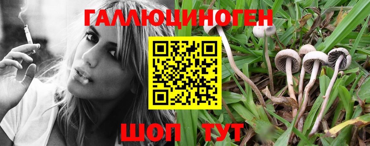 Галлюциногенные грибы мухоморы  Вход с VPN  Воткинск 